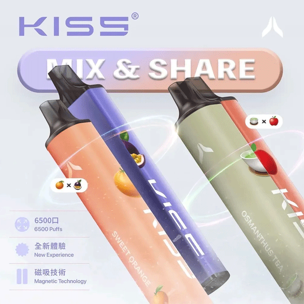 K65 MIX&SHARE 6500口一次性煙桿 KIS5雙口味混搭設計 Type-C快充 拋棄式多種口味選擇