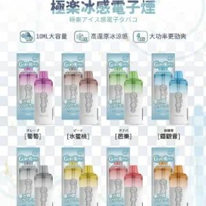 GOKURAKU 極樂 12000 拋棄式:一次性主機規格