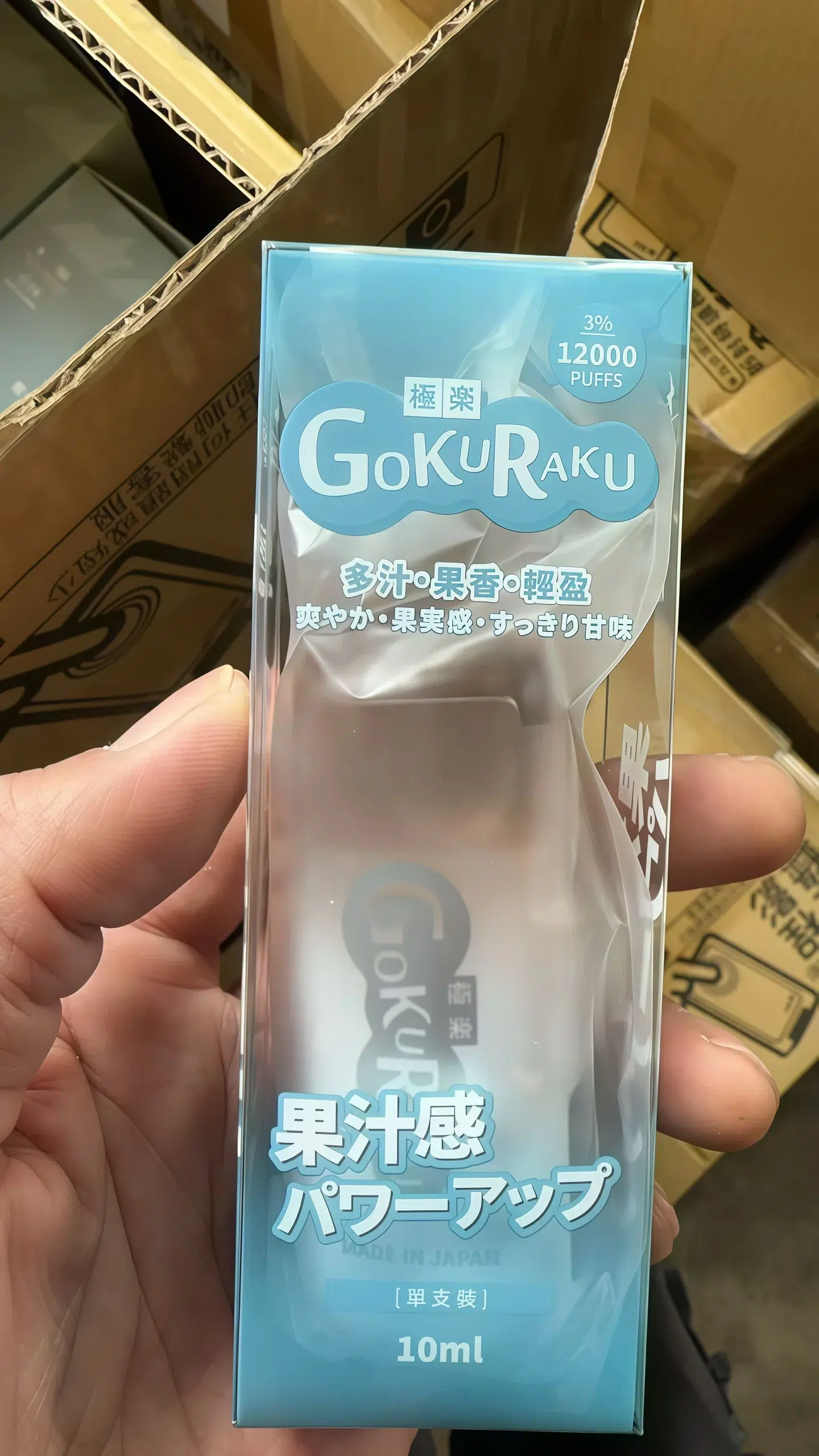GOKURAKU 極樂 12000 拋棄式:一次性主機規格